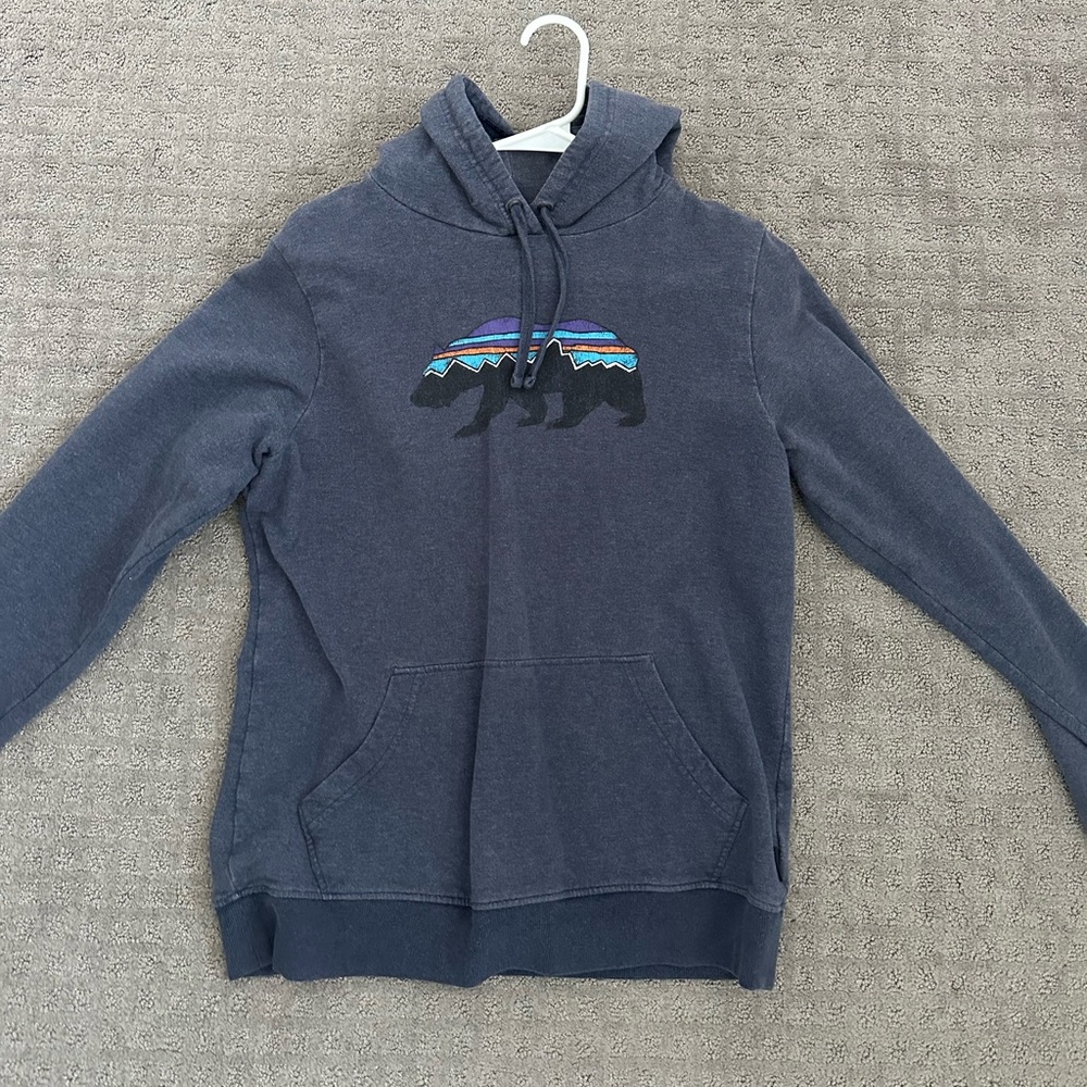 Patagonia sweatshirt